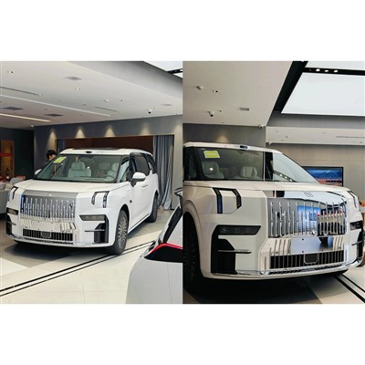 Transfer zum Flughafen Shanghai Pudong